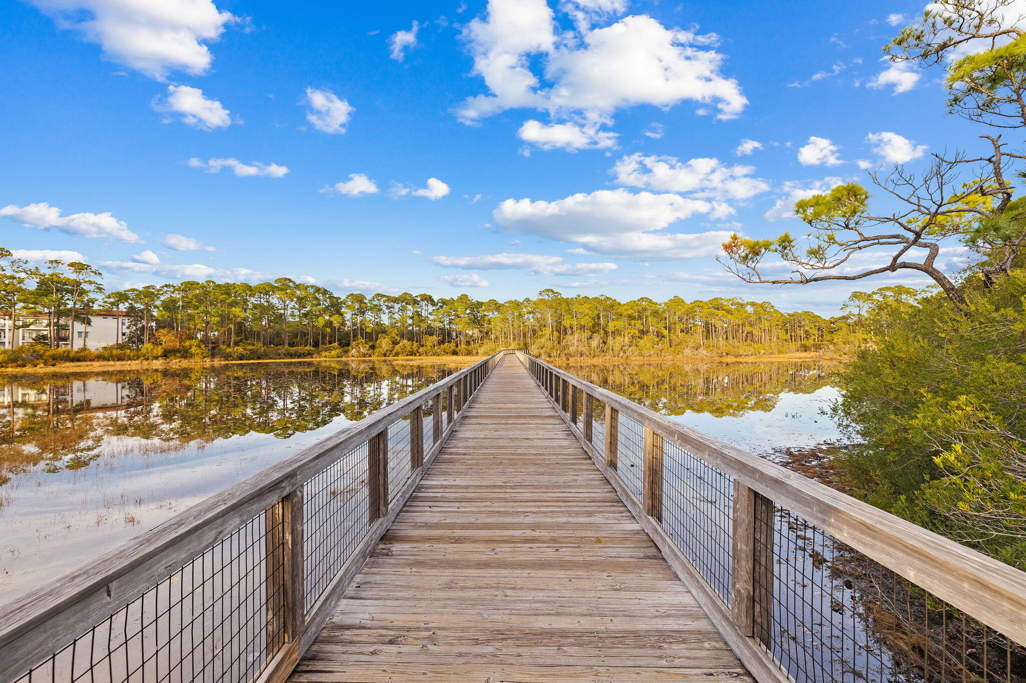 45 Plimsoll Way Santa Rosa Beach, FL 32459 - Photo 38 of 42 a view of ocean from a balcony