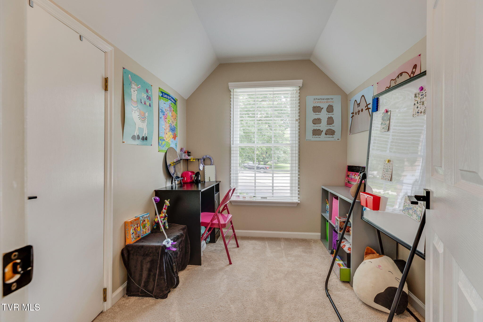2016 Appleton Court Kingsport, TN 37664 - Photo 38 of 55 037