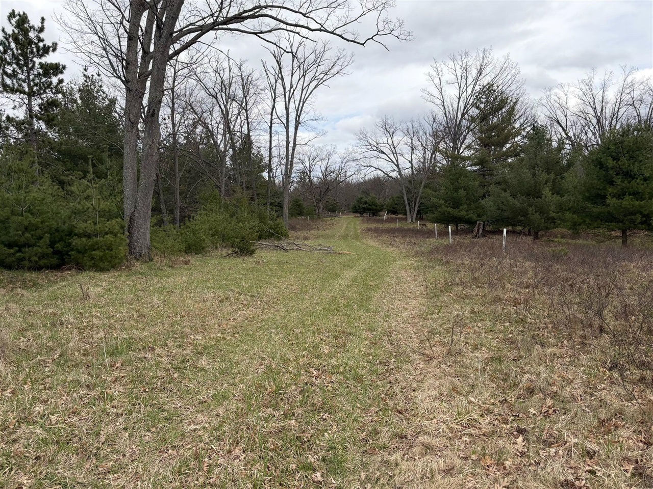 10838 Broad Road Lachine, MI 49753 - Photo 85 of 96