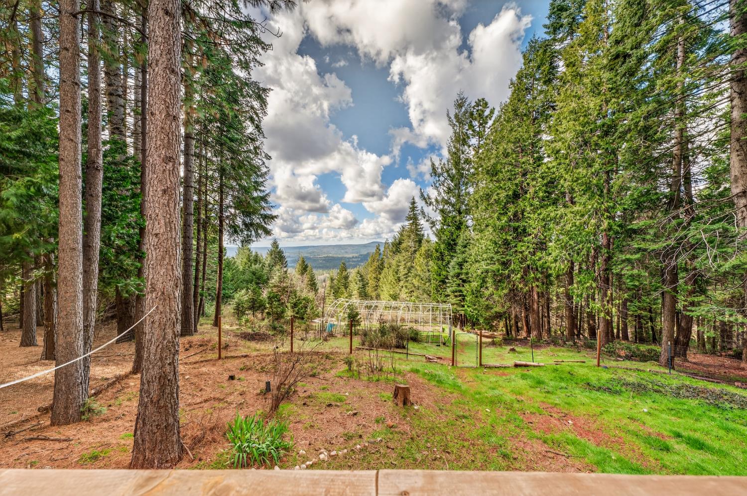 1212 Moody Ridge Road Alta, CA 95701 - Photo 28 of 36