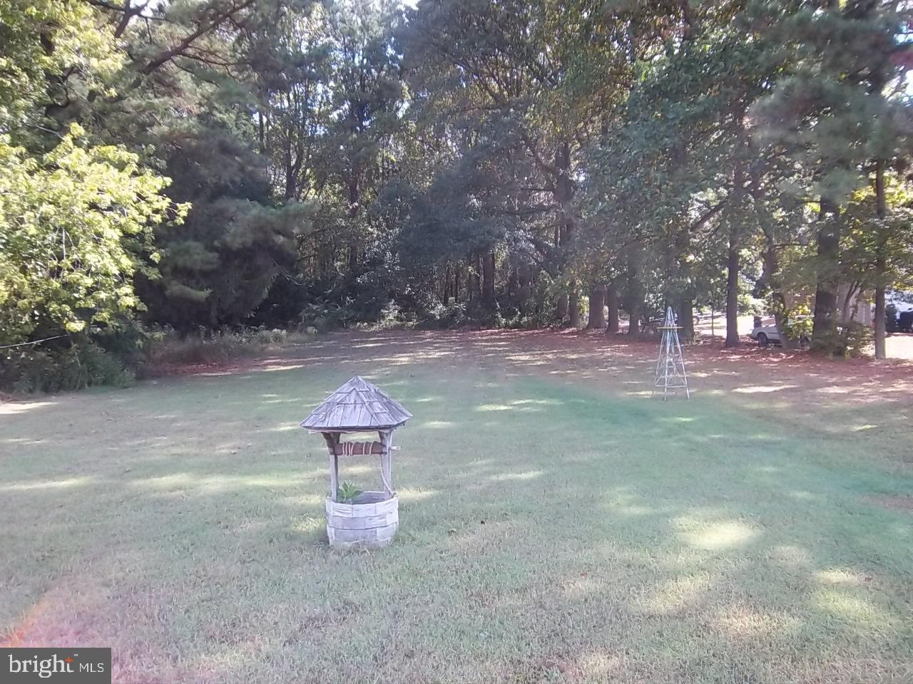 7011 Beulah Road Hurlock, MD 21643 - Photo 5 of 19 Large Back Yard