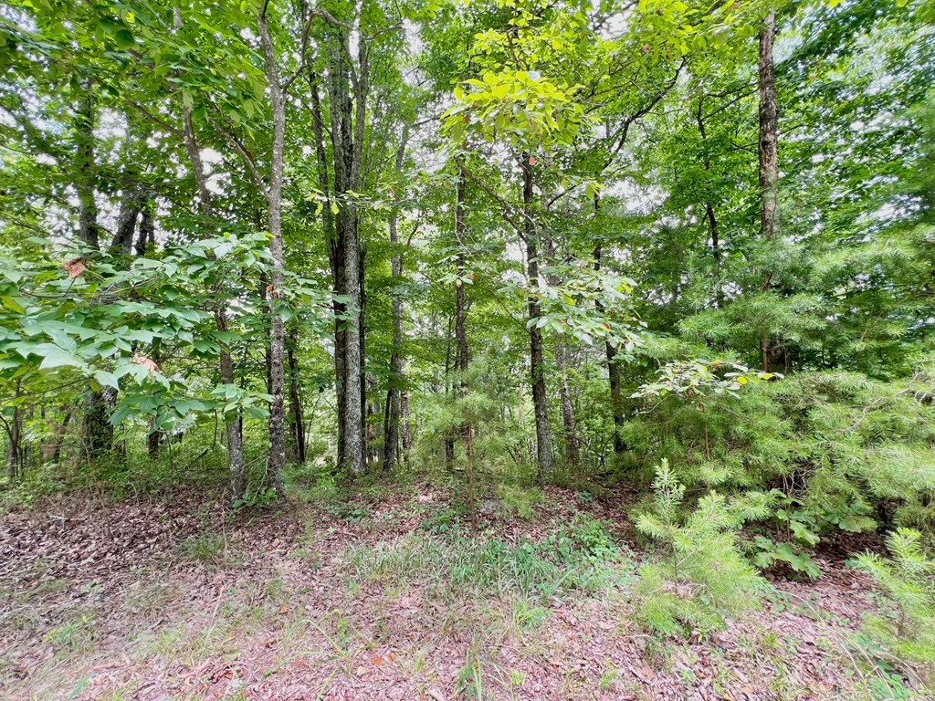 1267 Jewel Court Ranger, GA 30734 - Photo 14 of 19 Gallery Image 14