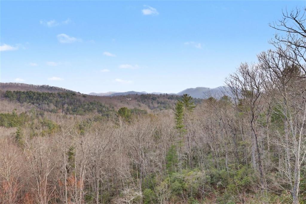 452 Chestnut Mountain Road Blairsville, GA 30512 - Photo 34 of 77