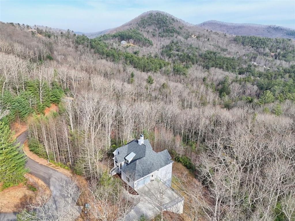 452 Chestnut Mountain Road Blairsville, GA 30512 - Photo 72 of 77