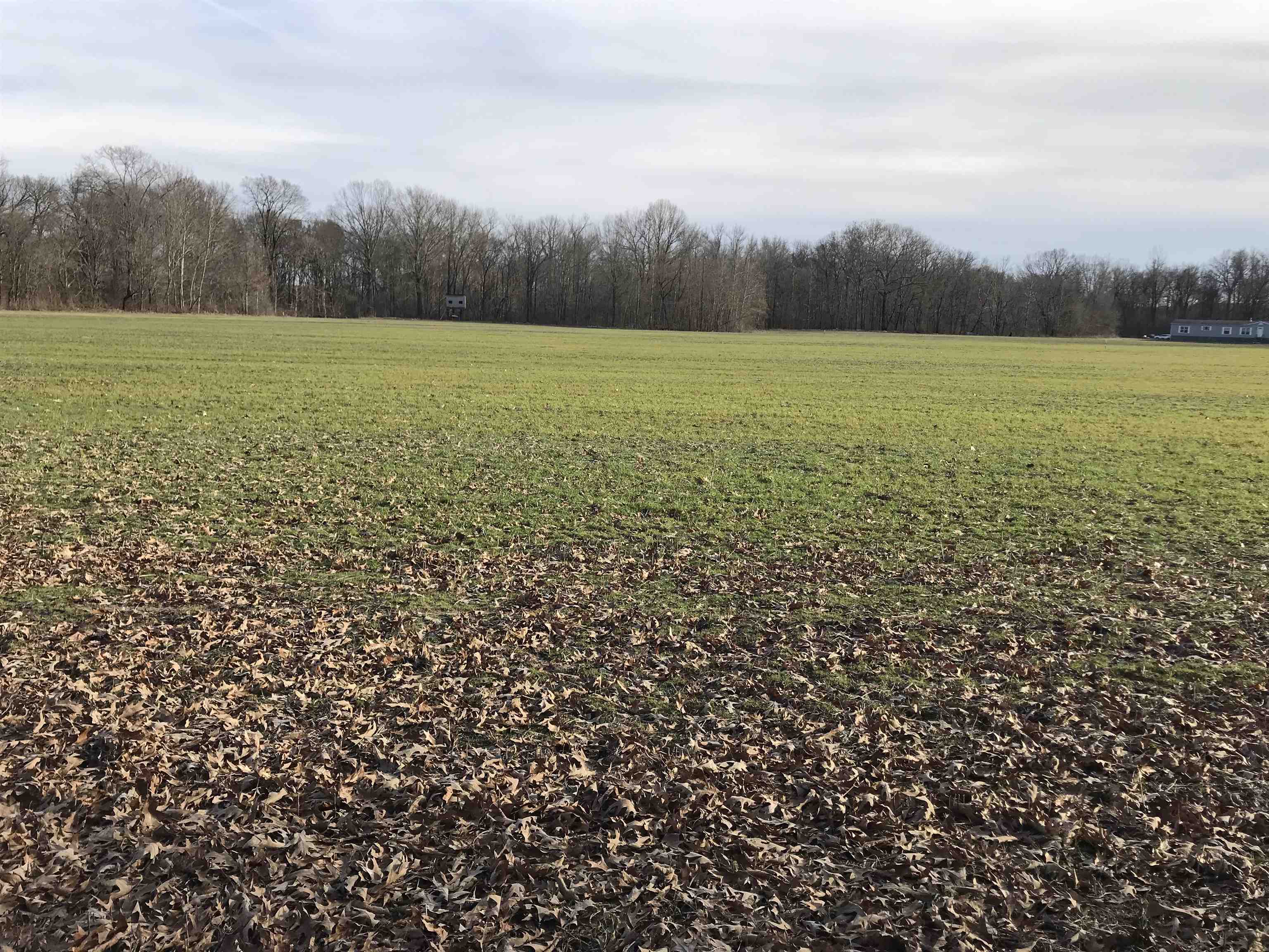 Lot 4 Meade Lake Road Millington, TN 38053 - Photo 1 of 3 Gallery Image 1