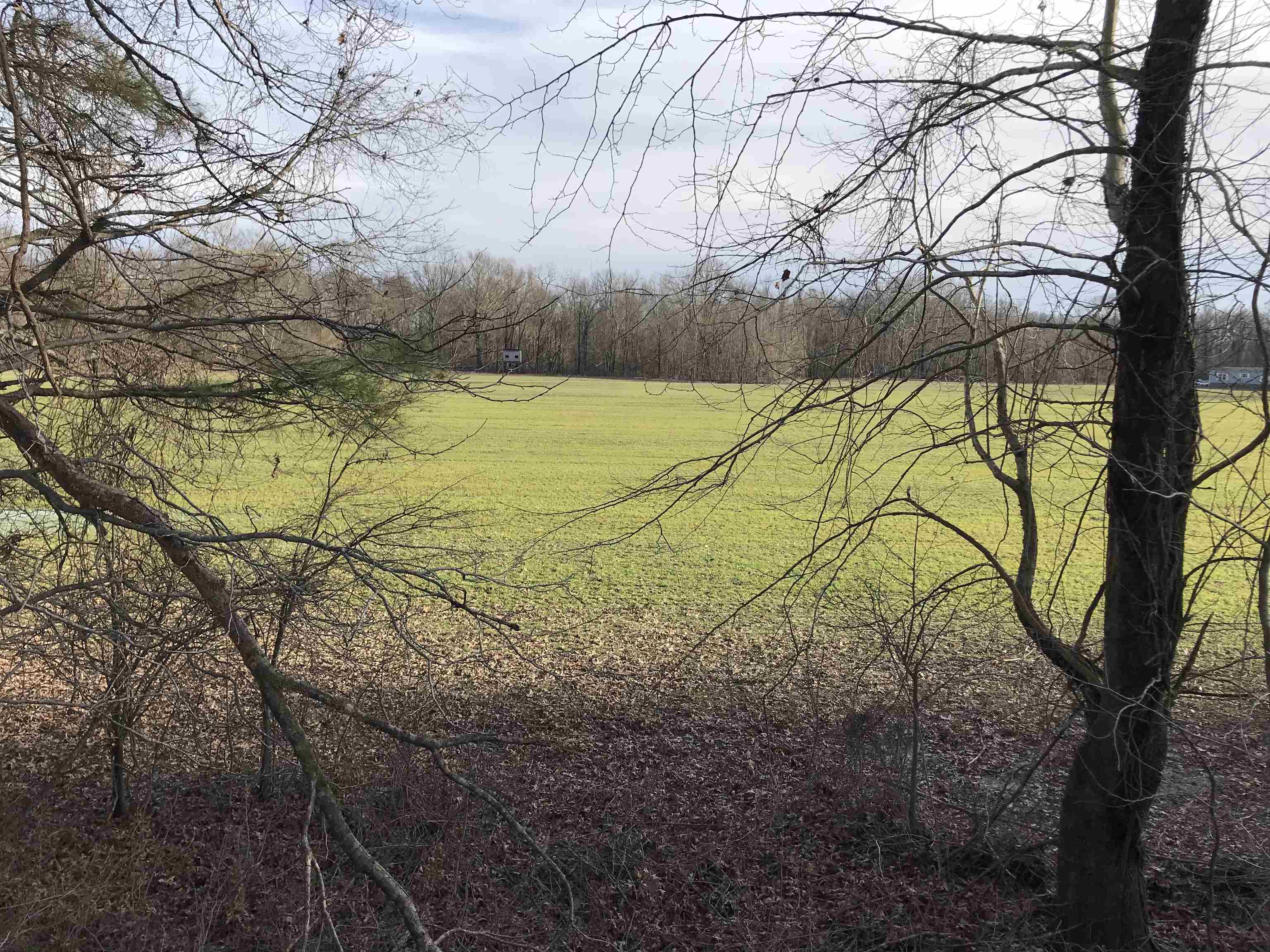 Lot 4 Meade Lake Road Millington, TN 38053 - Photo 2 of 3 Gallery Image 2