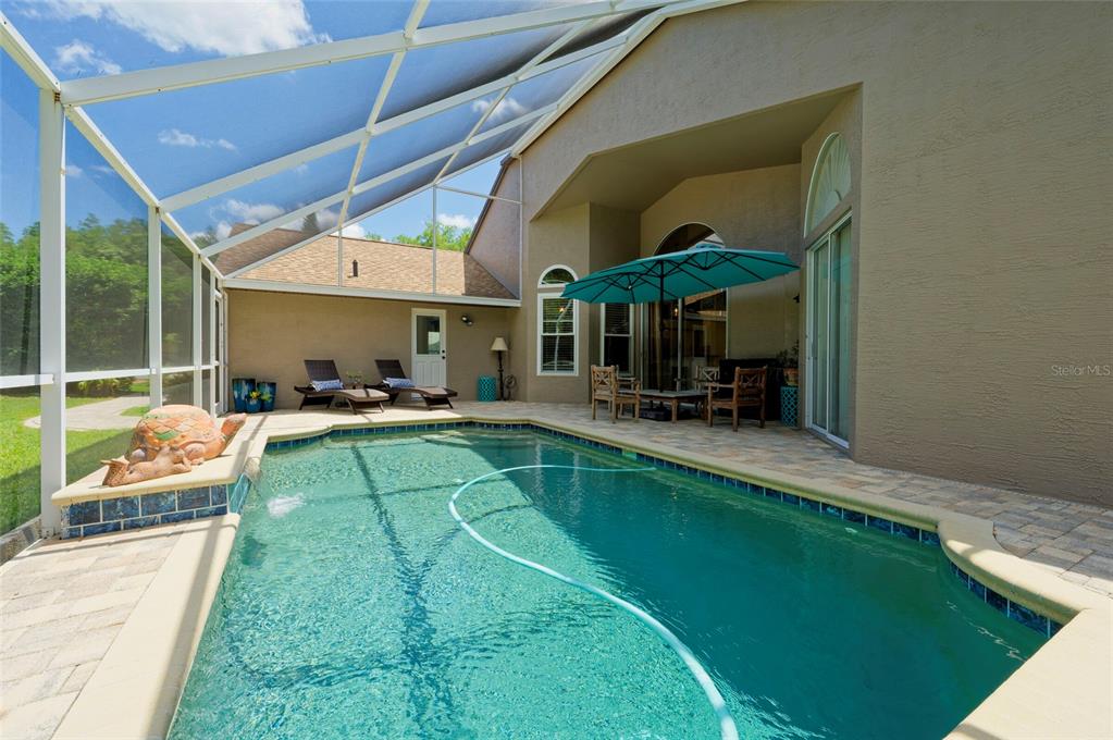 8115 Montock Court Trinity, FL 34655 - Photo 44 of 54