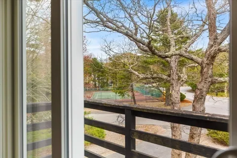 a view of a yard from a window