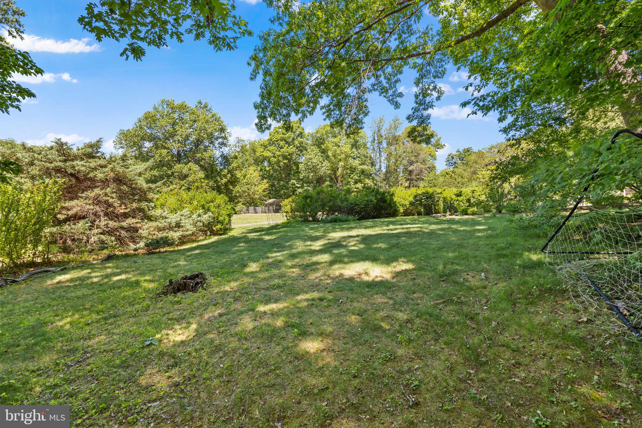 11019 Ring Road Reston, VA 20190 - Photo 75 of 78 Side Yard