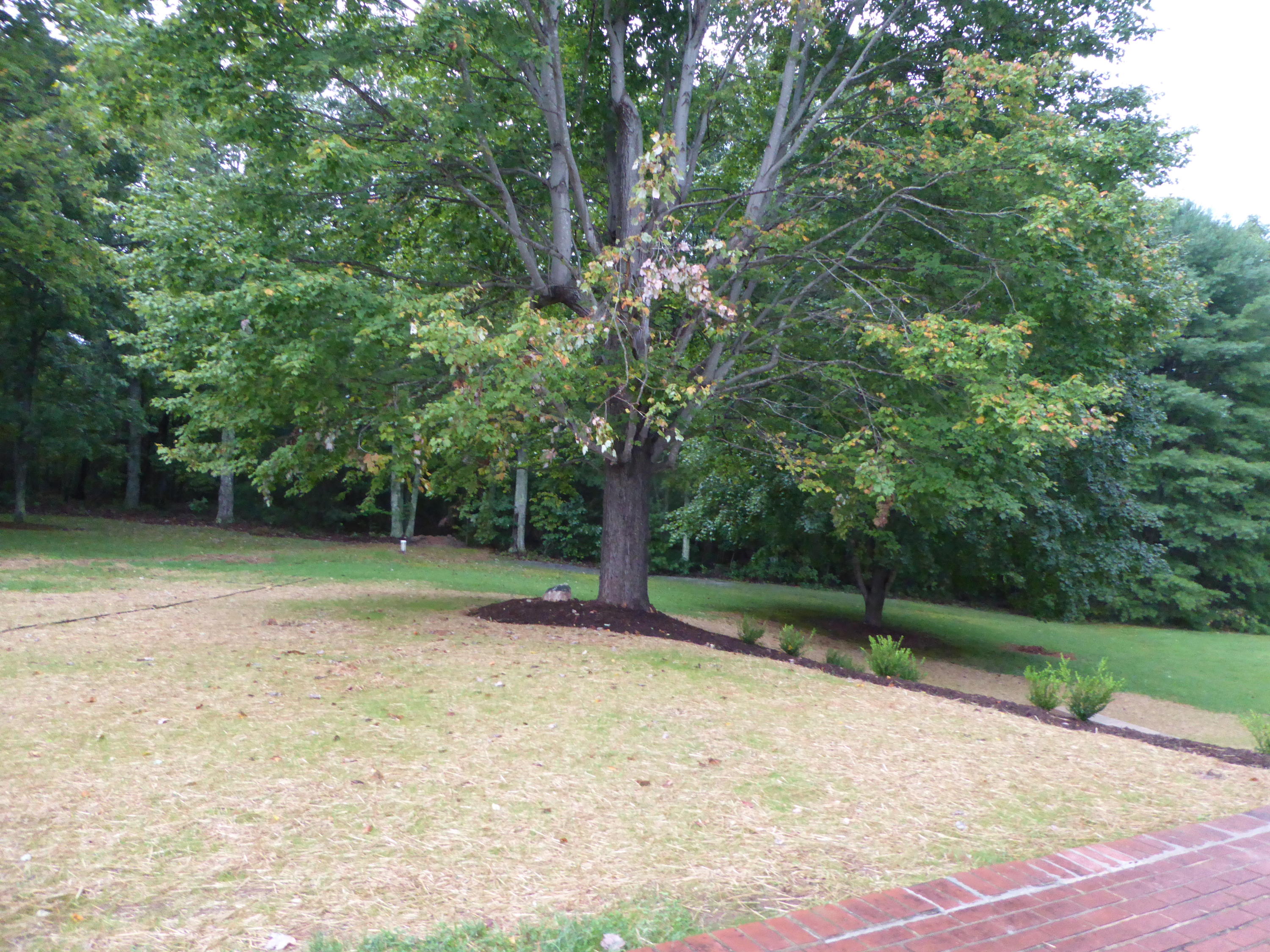 10454 Henry Road Henry, VA 24102 - Photo 37 of 72 a backyard of a house with lots of green space