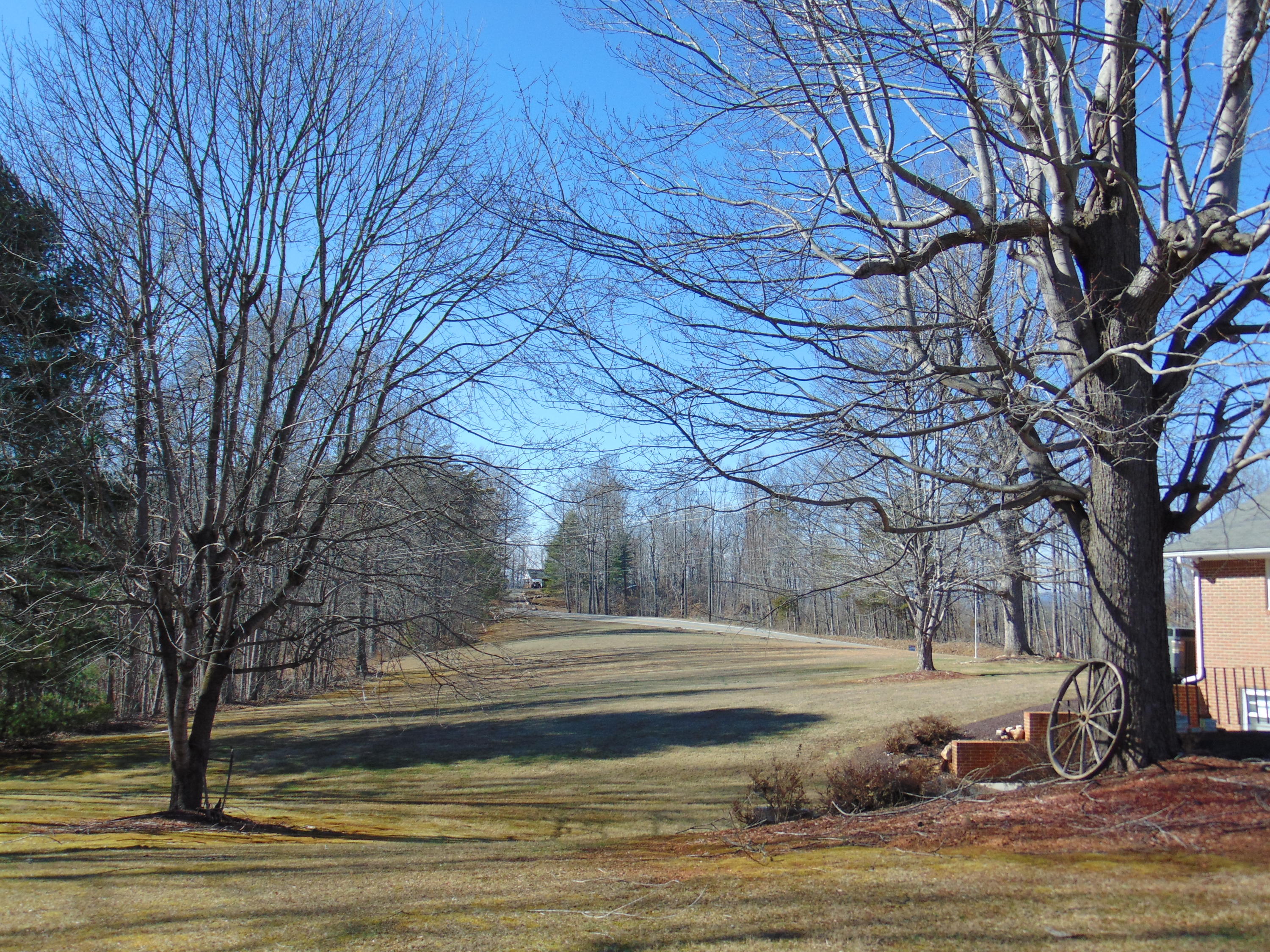 10454 Henry Road Henry, VA 24102 - Photo 42 of 72 a view of a yard with large trees