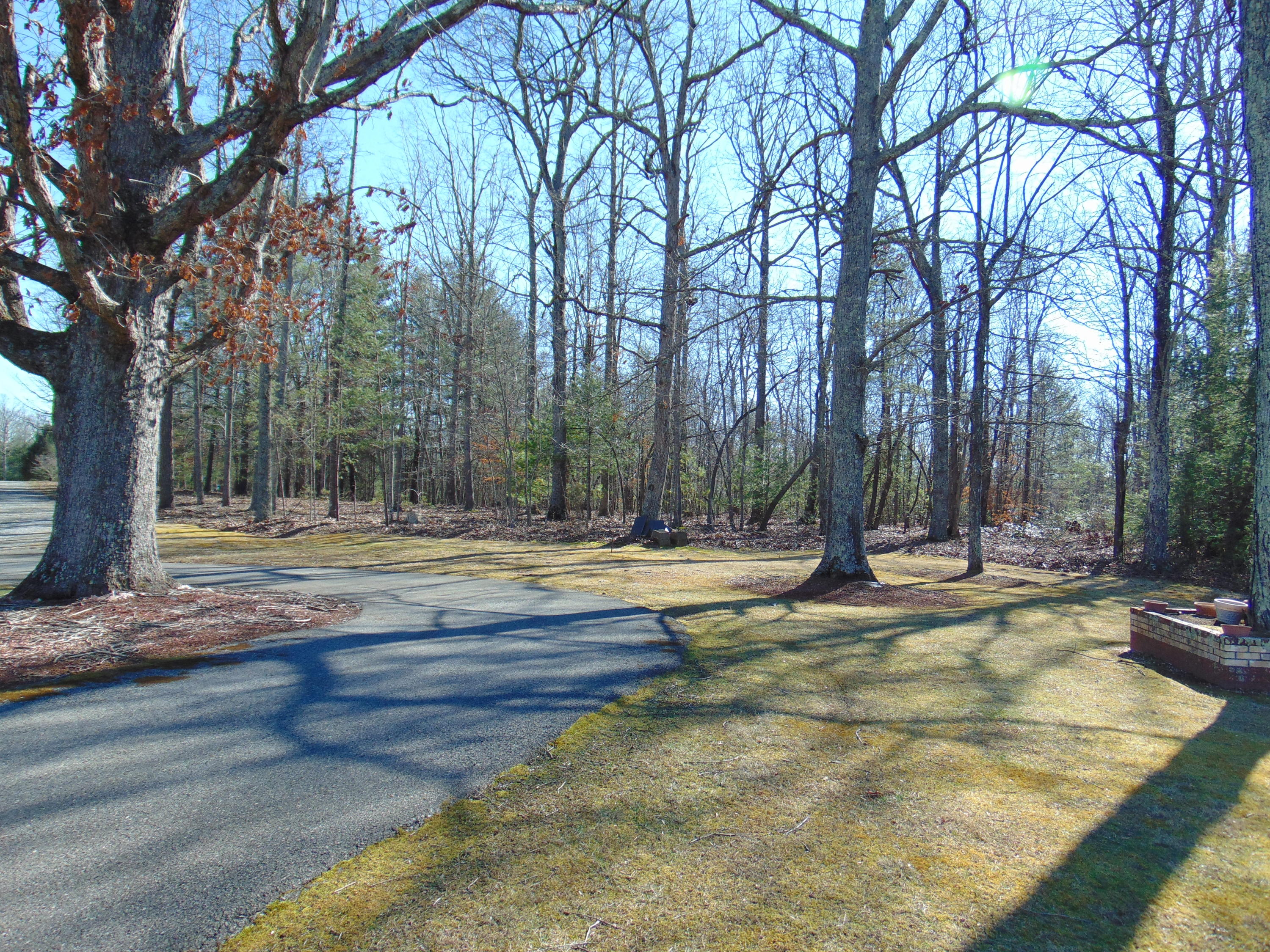 10454 Henry Road Henry, VA 24102 - Photo 43 of 72 a view of a yard with trees