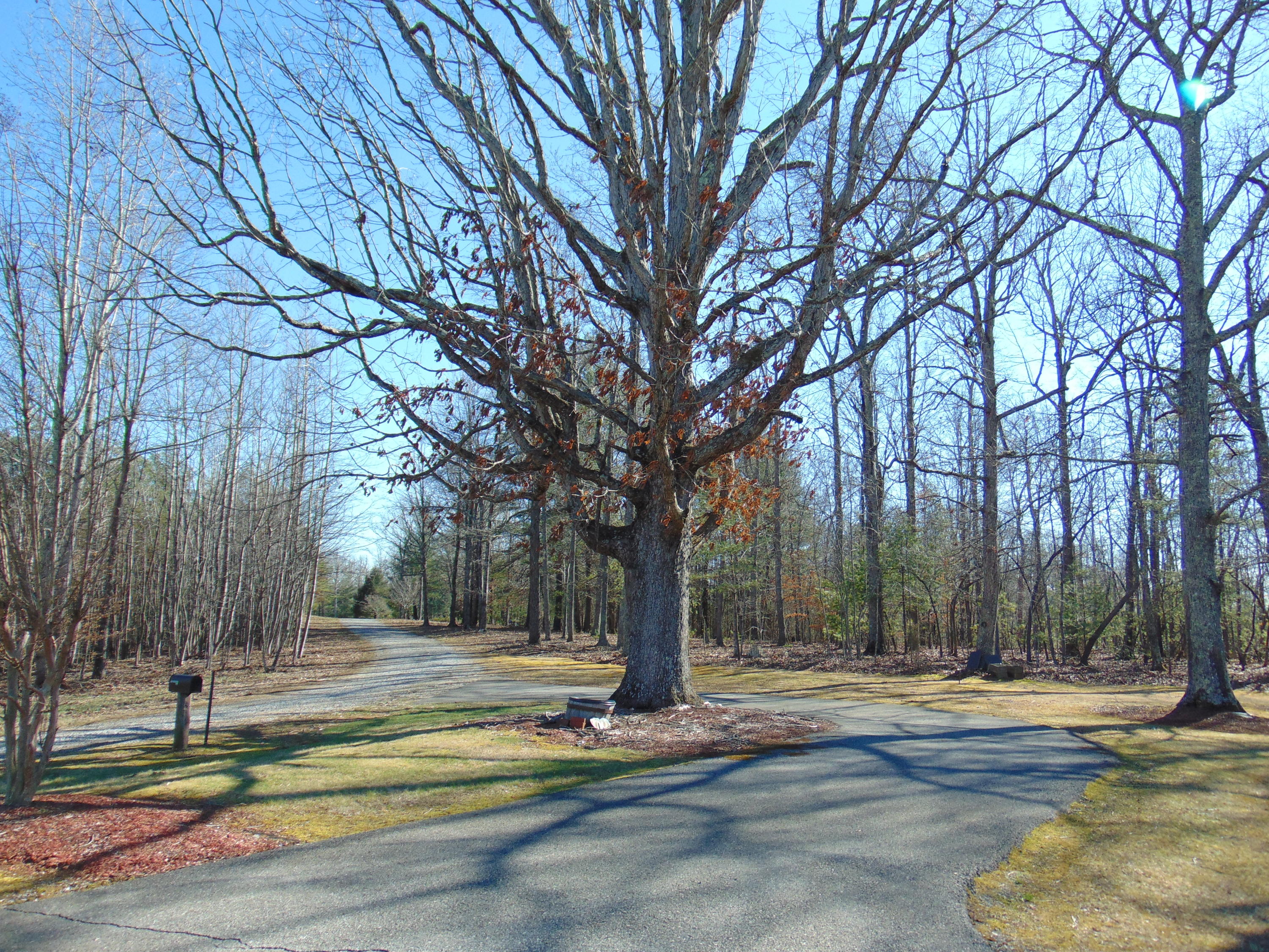 10454 Henry Road Henry, VA 24102 - Photo 44 of 72 a view of a yard with large trees