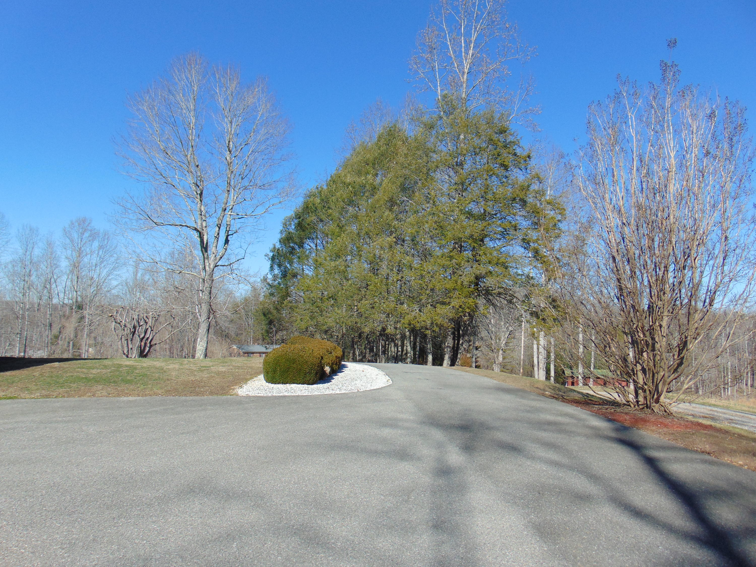 10454 Henry Road Henry, VA 24102 - Photo 45 of 72 a view of a yard with a tree