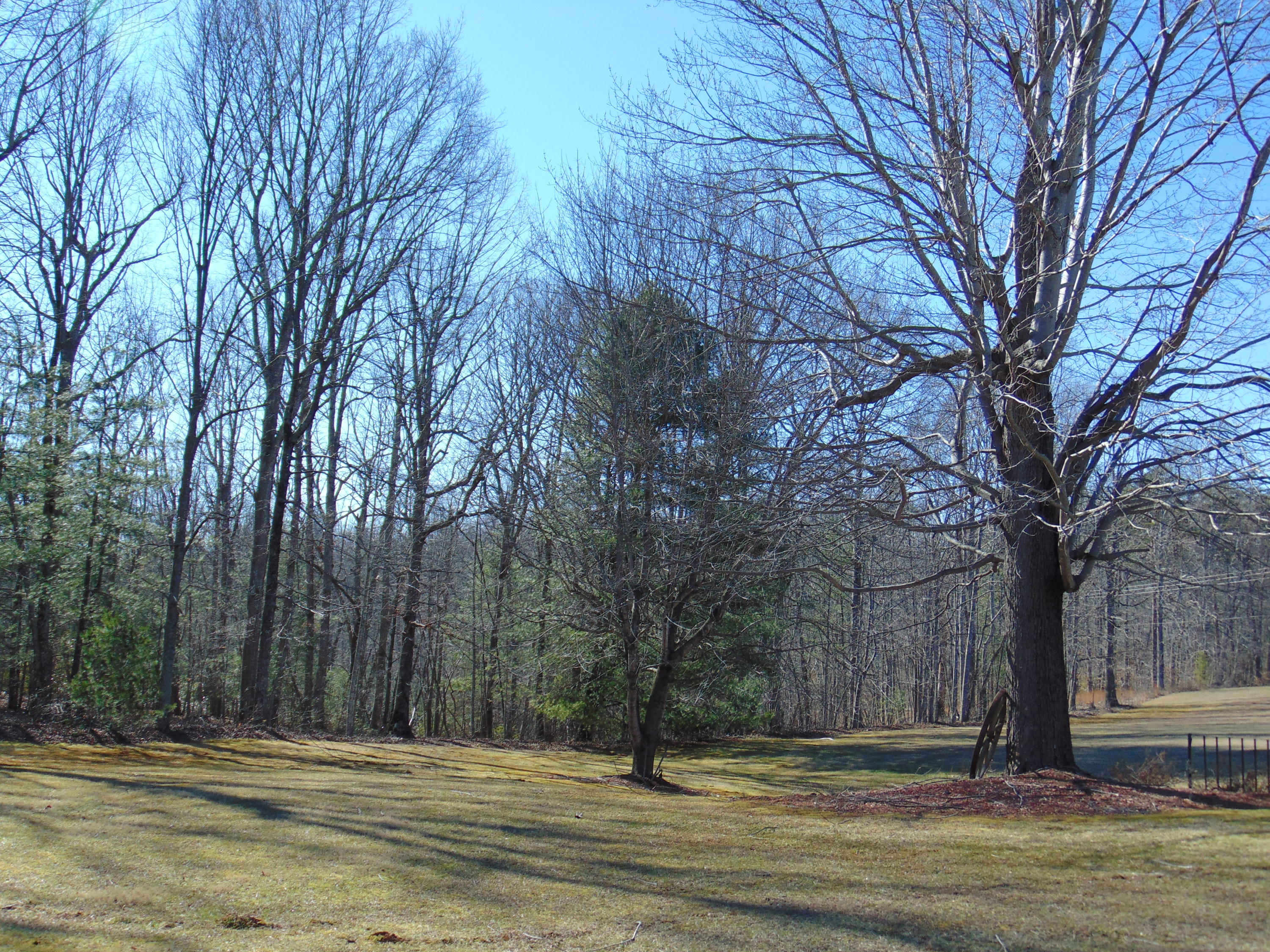 10454 Henry Road Henry, VA 24102 - Photo 46 of 72 a view of outdoor space with trees