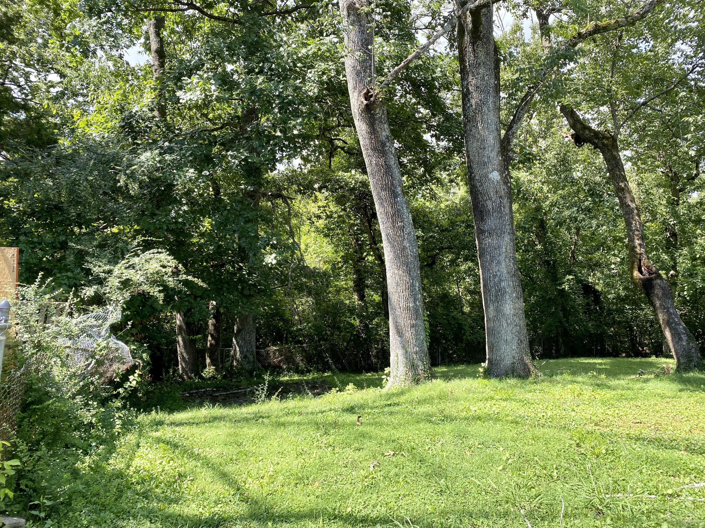 122 West Arrowwood Road Oak Ridge, TN 37830 - Photo 3 of 17 Wooded Backyard