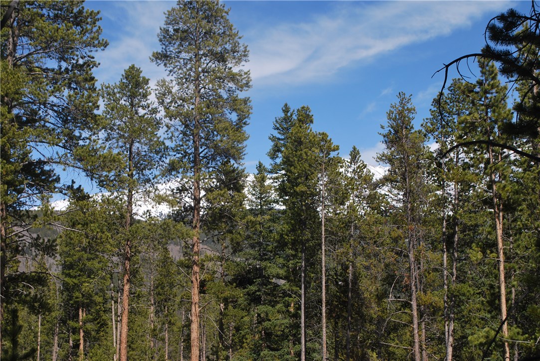 53 Bryce Estates Road Breckenridge, CO 80424 - Photo 24 of 25 Gallery Image 24