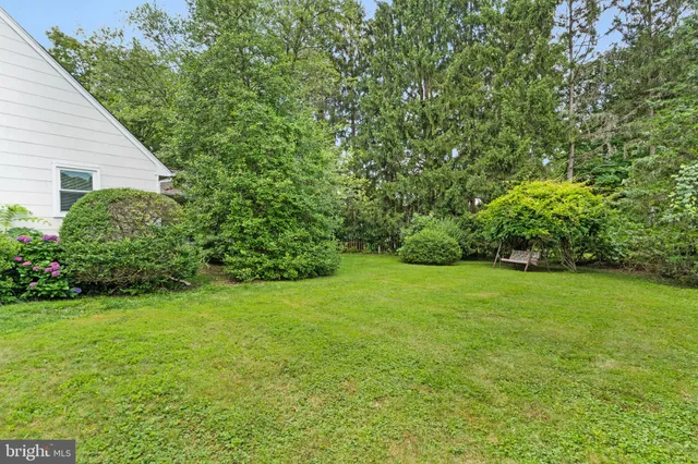 a view of a backyard with potted plants and large trees