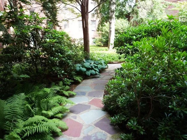 a view of a garden with plants and large trees