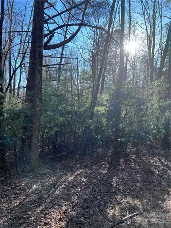 $20,500 | L26 Konnaneeta Court, Unit U03 L026, Brevard, NC 28712