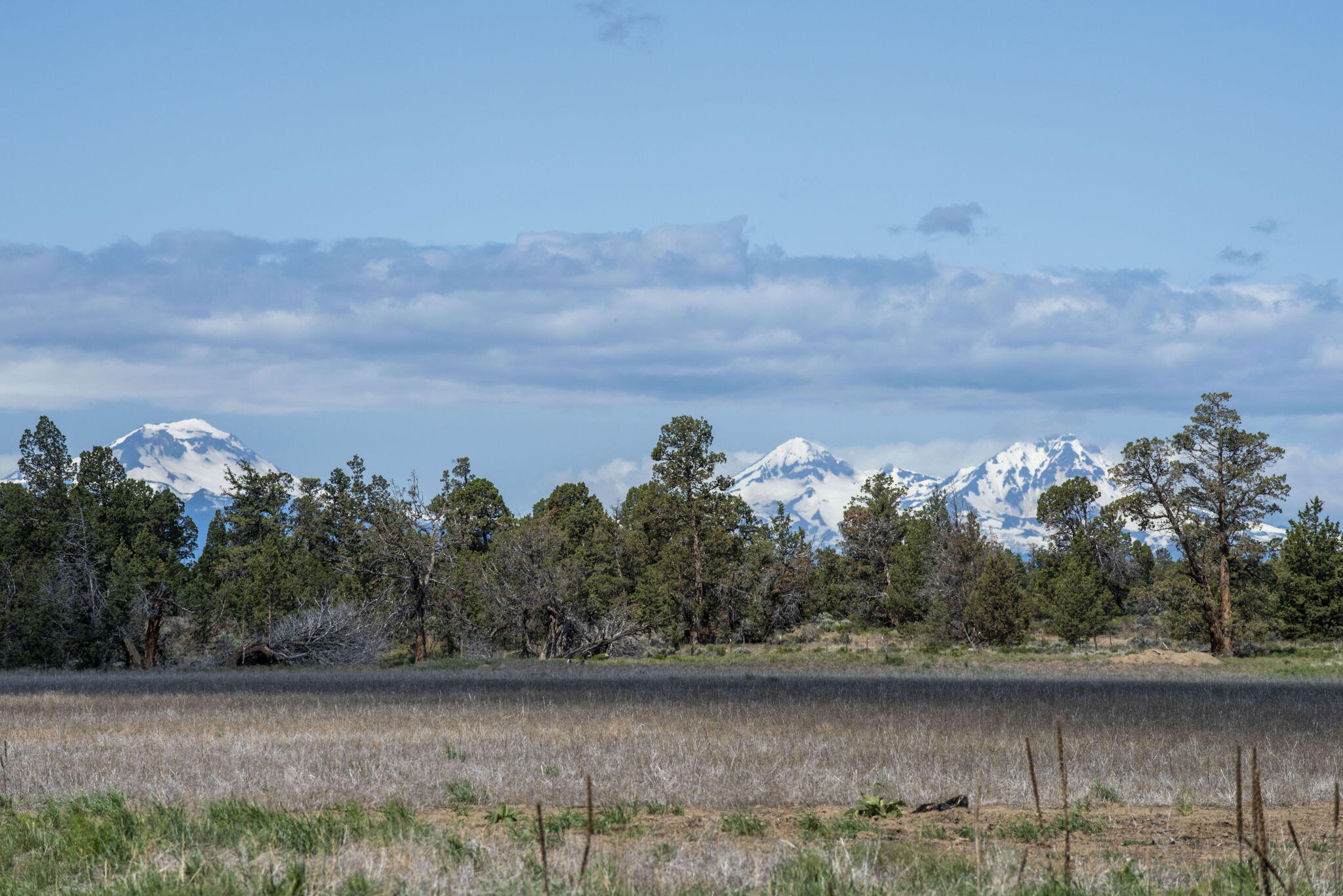 25800 Alfalfa Market Road Bend, OR 97701 - Photo 11 of 33 11-web-or-mls-DSC_1164