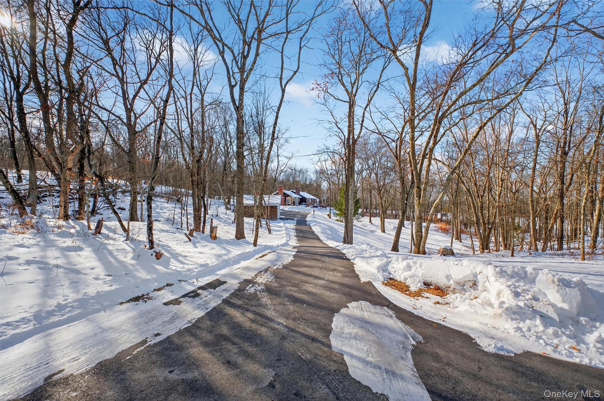 1125 Old Quaker Hill Road Pawling, NY 12564 - Photo 5 of 38 a view of a yard with snow on the road