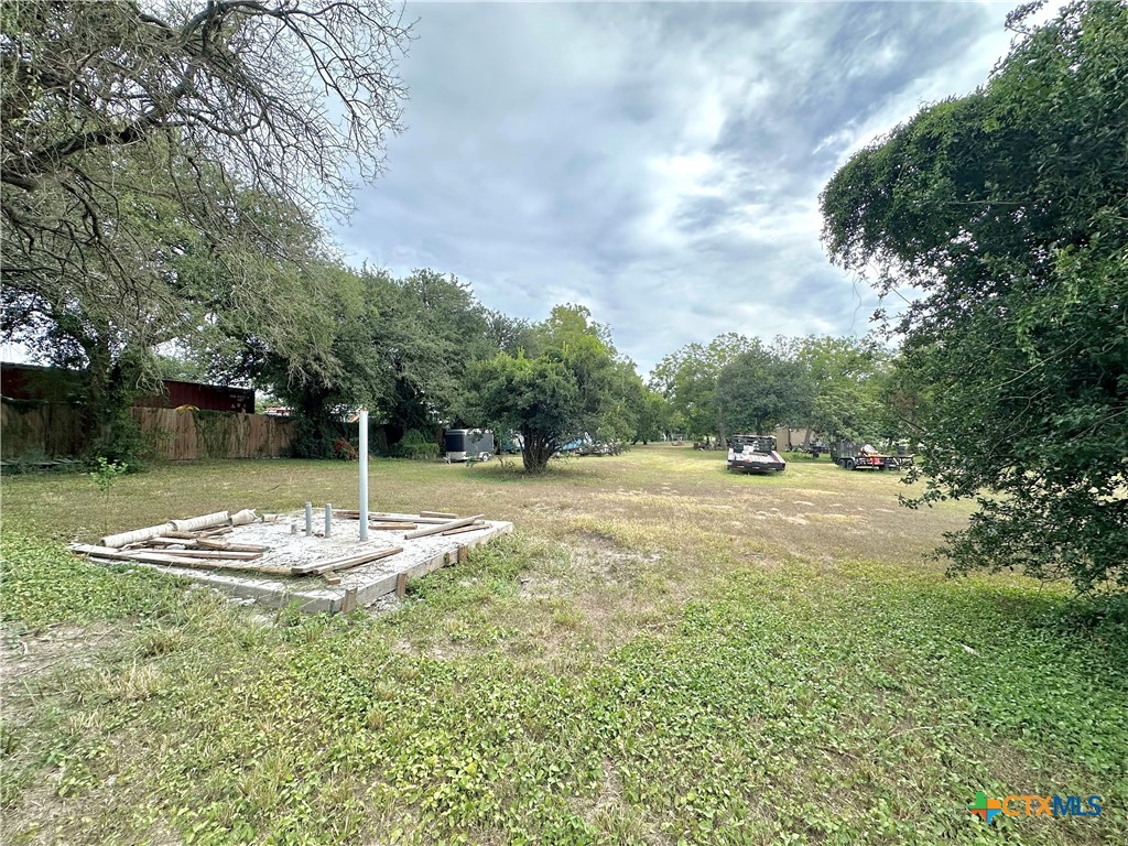 400 West Church Street Victoria, TX 77901 - Photo 7 of 10 a tall tree in middle of green field