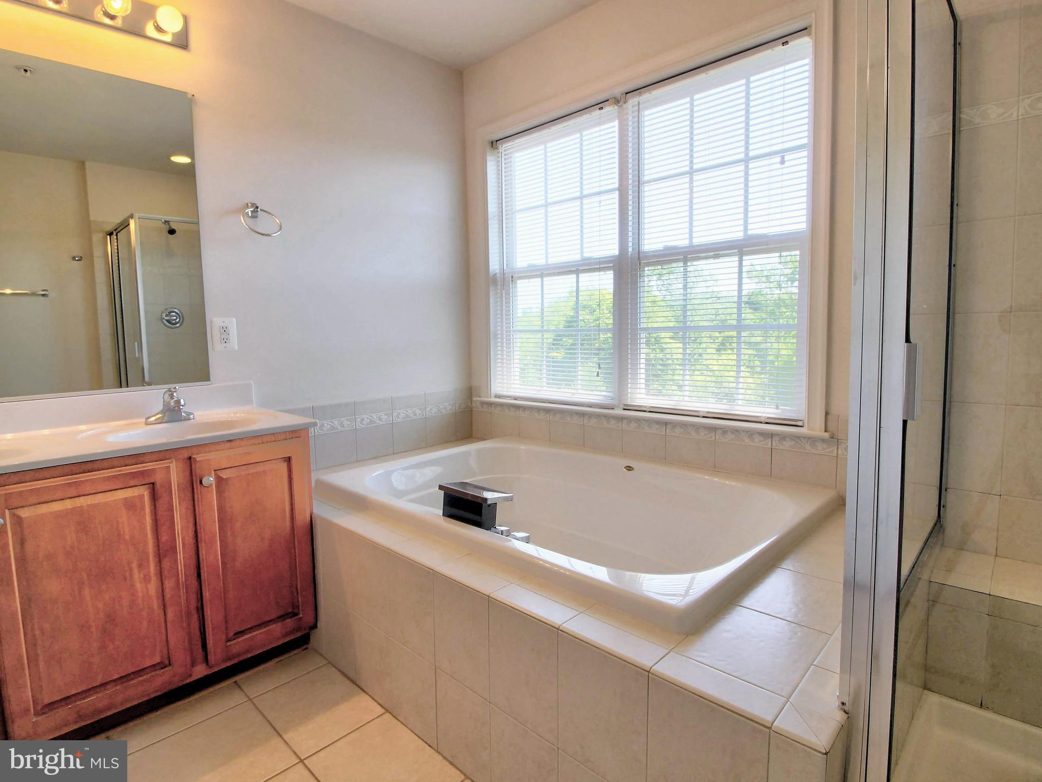 244 Timber View Court Frederick, MD 21702 - Photo 22 of 47 Master Bathroom
