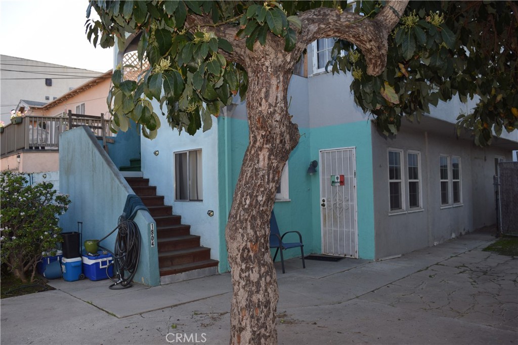 1900 East 6th Street Long Beach, CA 90802 - Photo 14 of 22 a tree in front of a house