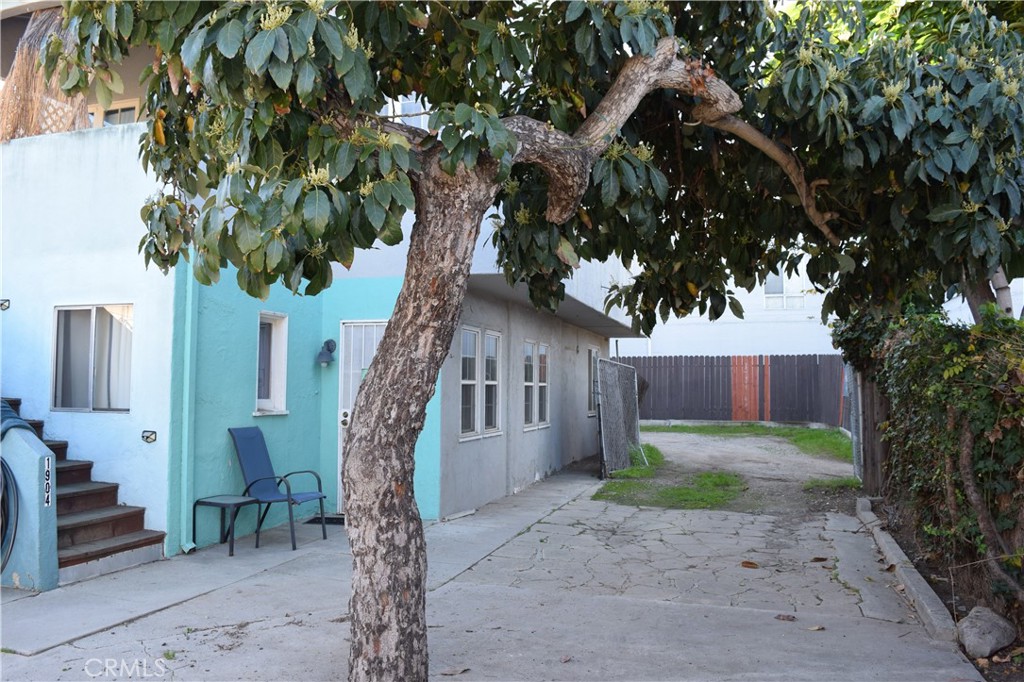 1900 East 6th Street Long Beach, CA 90802 - Photo 17 of 22 a tree in a backyard of a house
