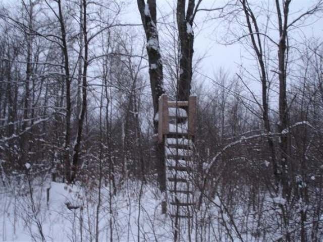 On On Clausen Road Prentice, WI 54556 - Photo 10 of 14 Gallery Image 10