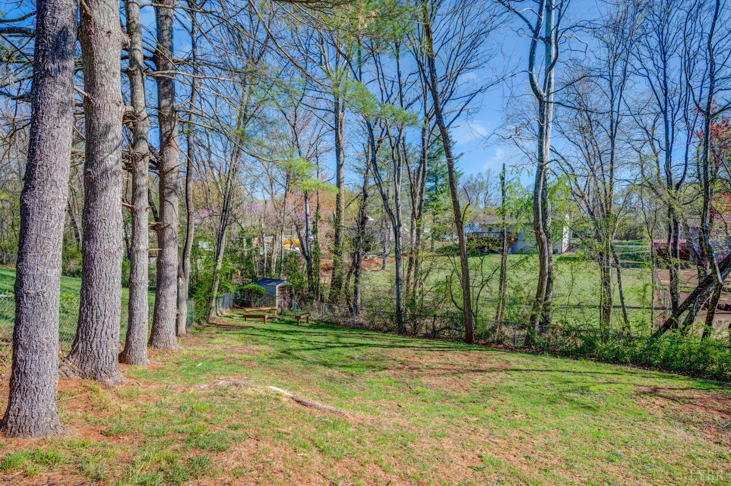 503 Sweeney Circle Forest, VA 24551 - Photo 39 of 50 a backyard of a house with lots of green space and fountain