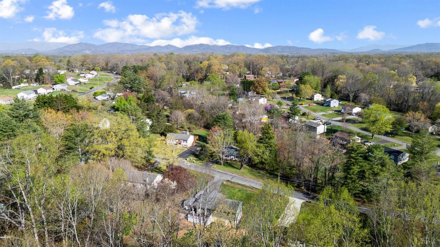 503 Sweeney Circle Forest, VA 24551 - Photo 47 of 50 a view of a city