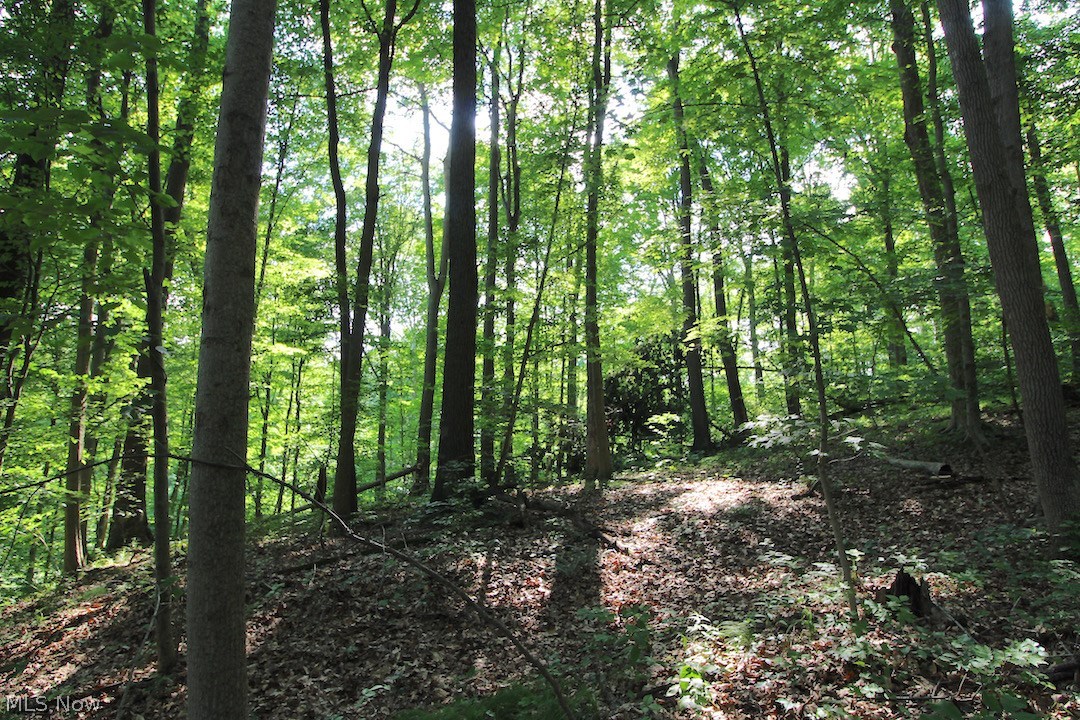 Mollies Rock Road Dresden, OH 43821 - Photo 15 of 30 Gallery Image 15