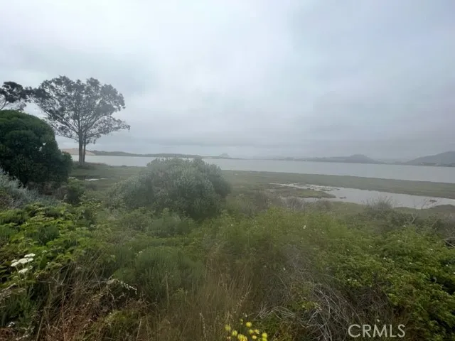 a view of a field with an ocean