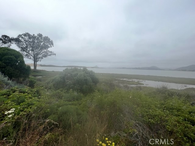 224 Butte Drive Los Osos, CA 93402 - Photo 16 of 20 a view of a field with an ocean