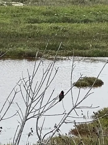 a view of a dry yard with wooden fence