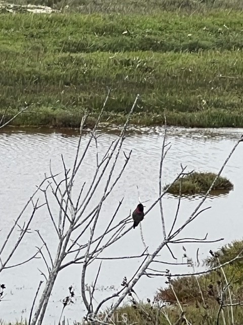 224 Butte Drive Los Osos, CA 93402 - Photo 20 of 20 a view of a dry yard with wooden fence