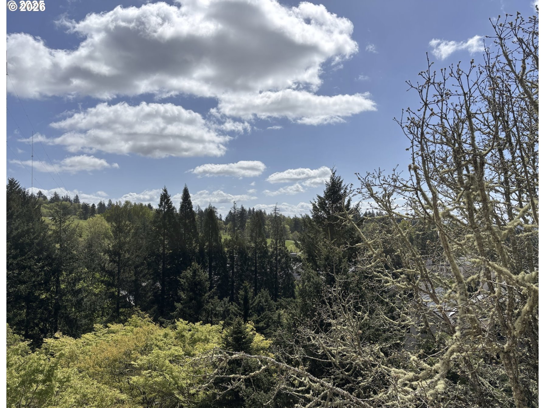 6645 West Burnside Street, Unit 550 Portland, OR 97225 - Photo 26 of 38 a view of a city with lush green forest
