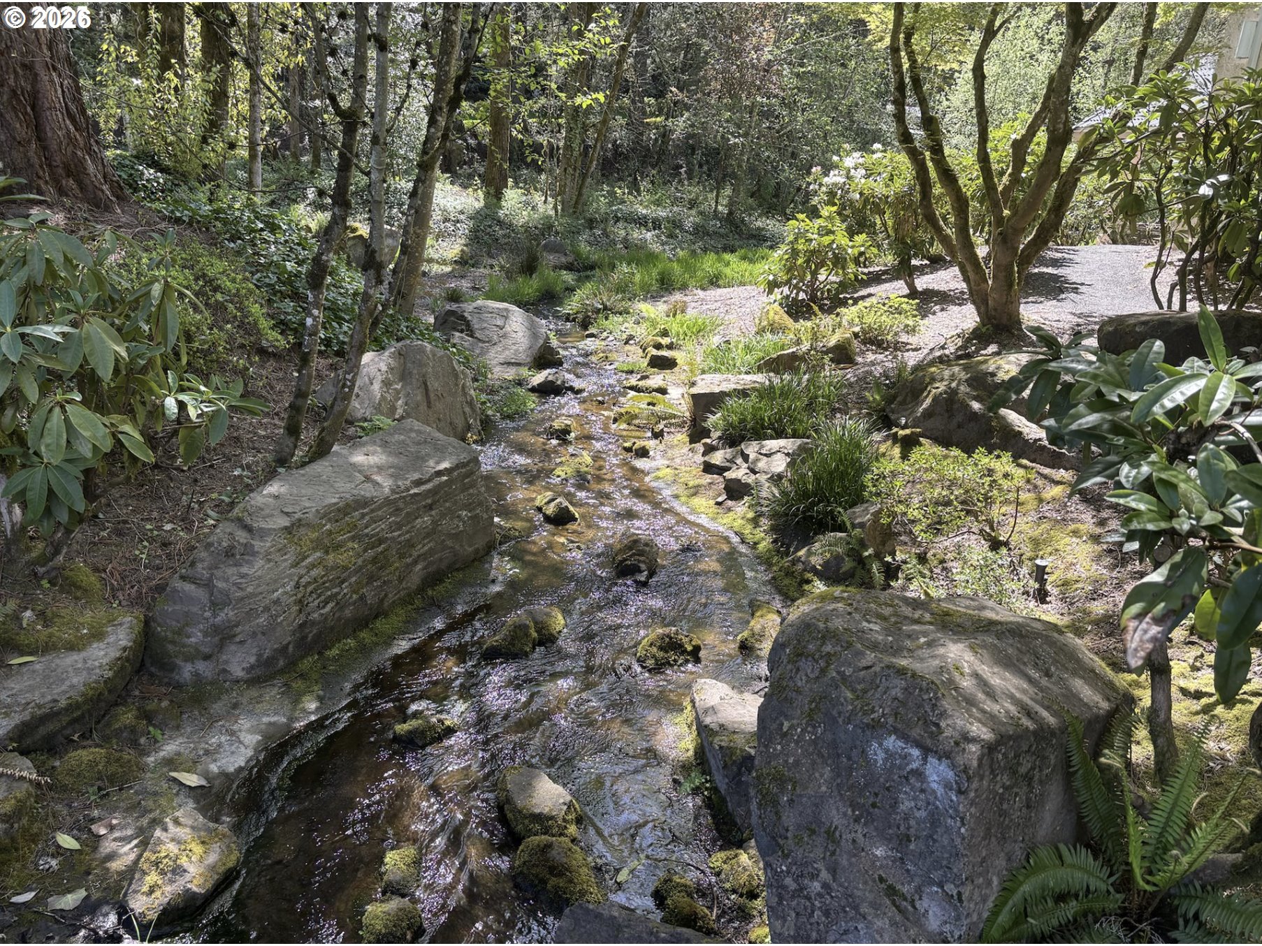 6645 West Burnside Street, Unit 550 Portland, OR 97225 - Photo 28 of 38 a view of a forest with a tree