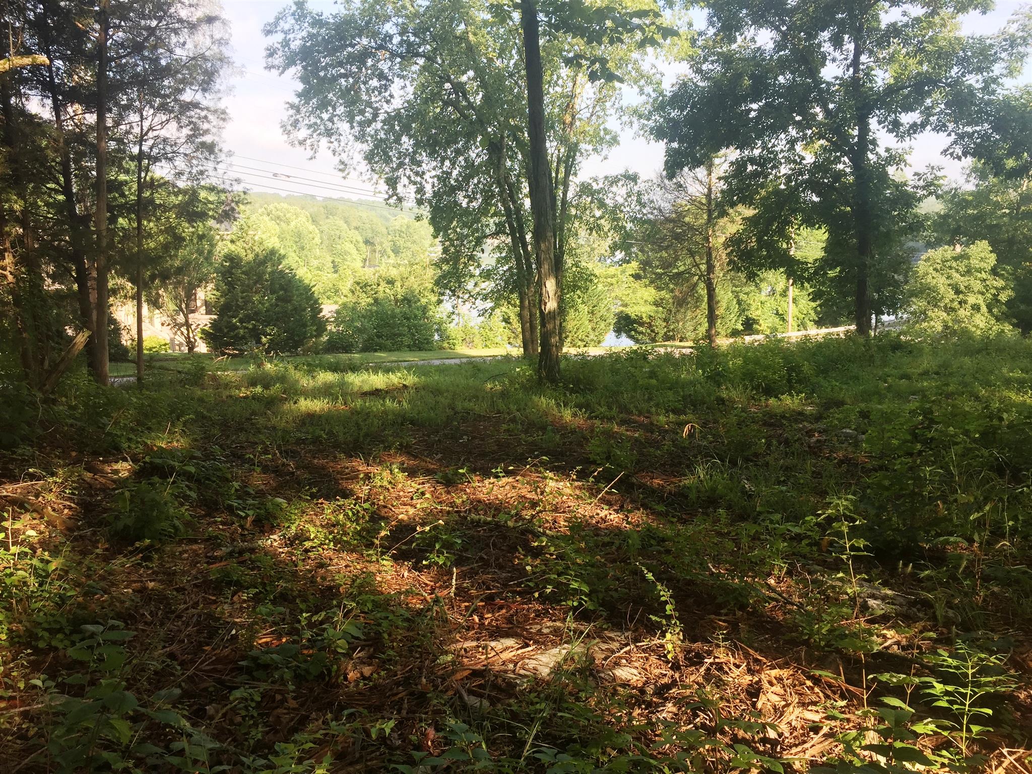 8 Benders Ferry Road Mount Juliet, TN 37122 - Photo 2 of 2