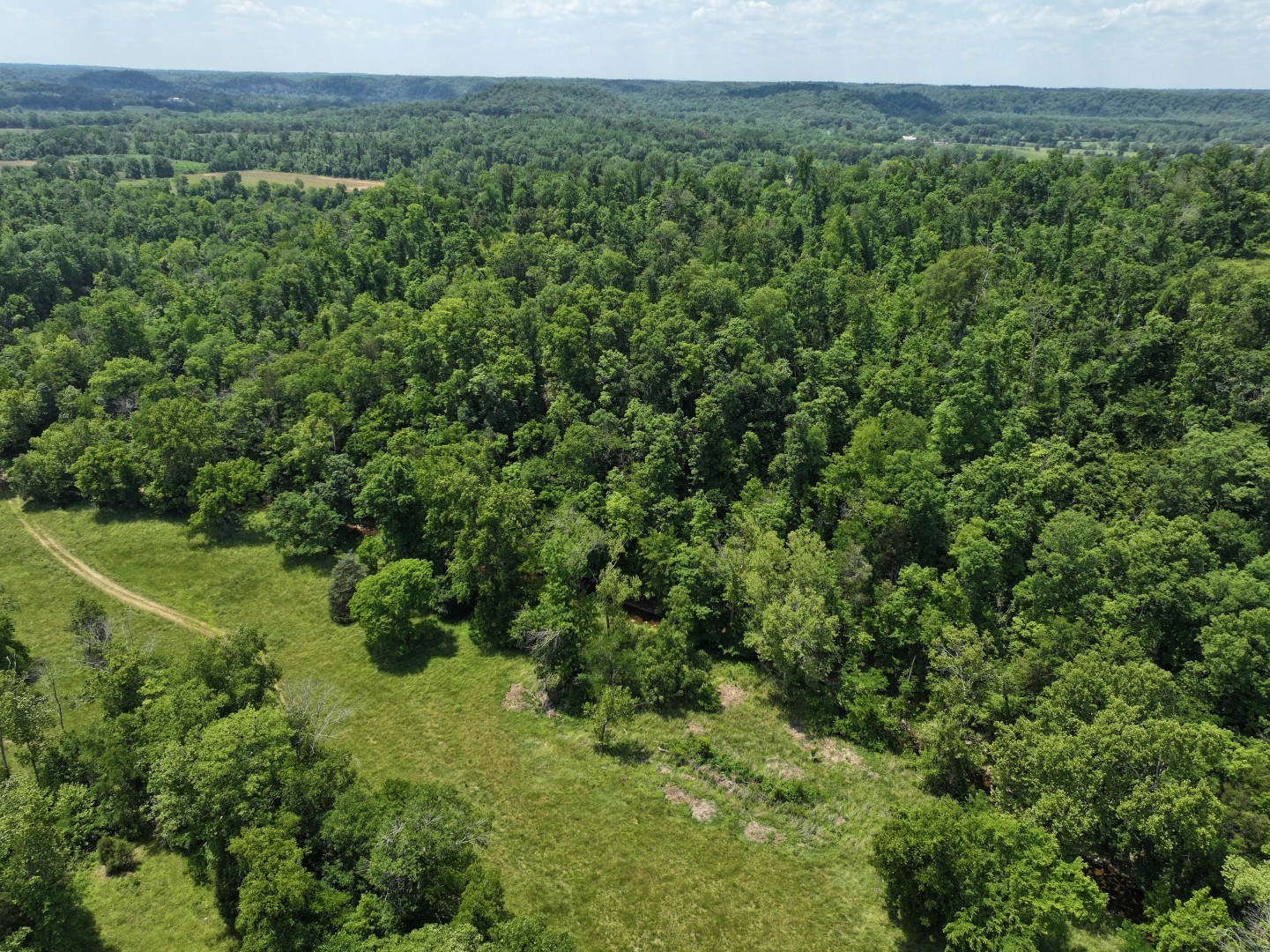 110 Wade Reed Road White Bluff, TN 37187 - Photo 59 of 94 Gallery Image 59