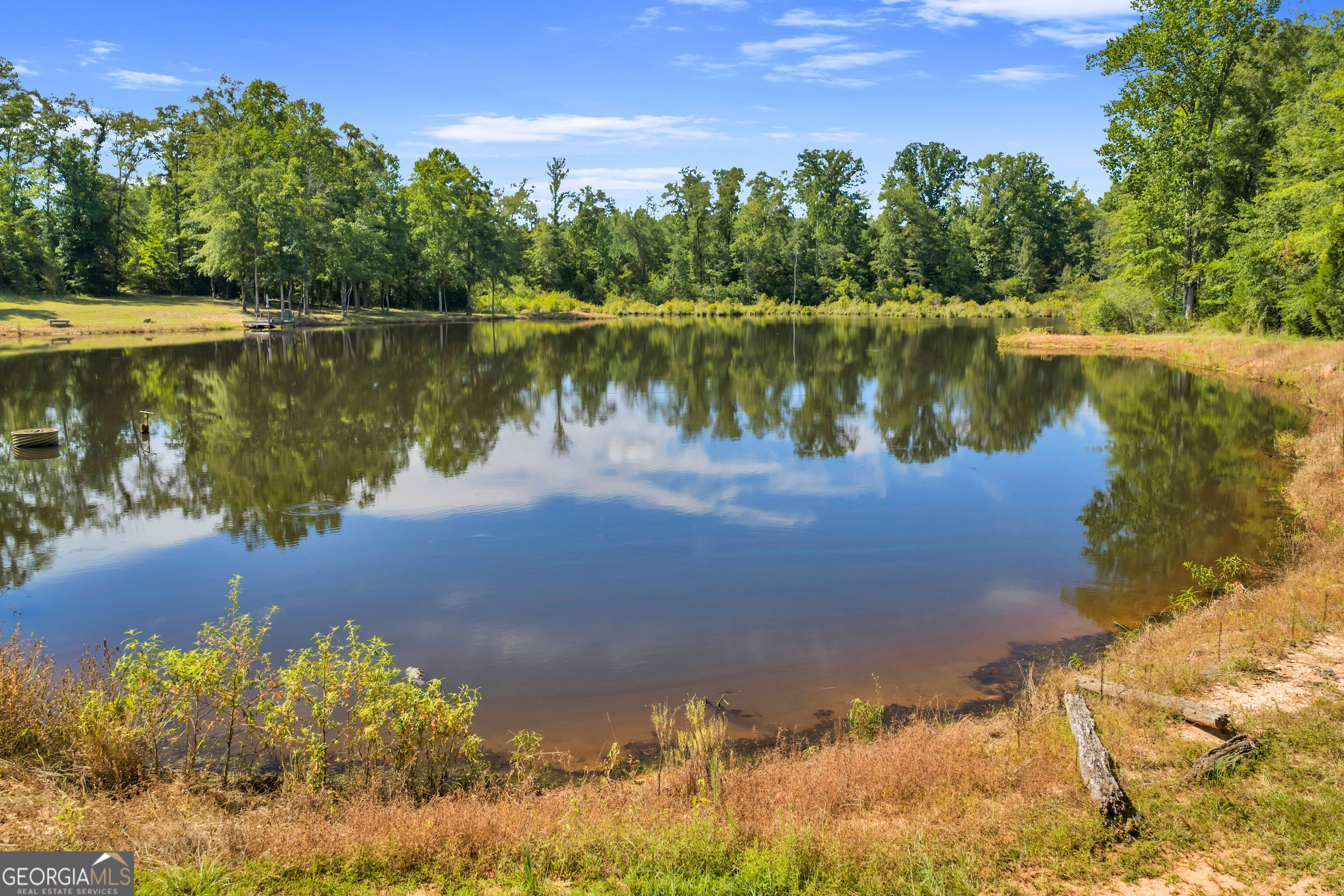 100 Bussey Place Road Morris, GA 39867 - Photo 90 of 174 Gallery Image 90