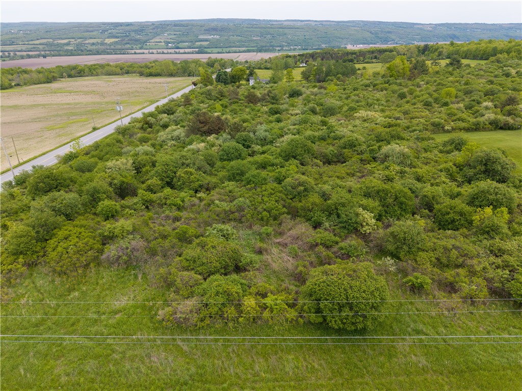 Rock Spring Hill Road Dansville, NY 14437 - Photo 15 of 20