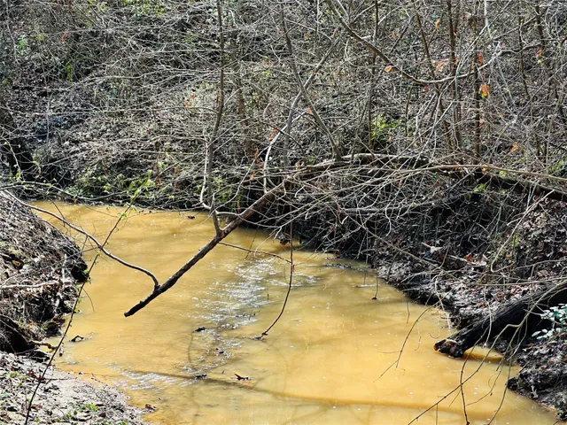 a view of a yard with trees