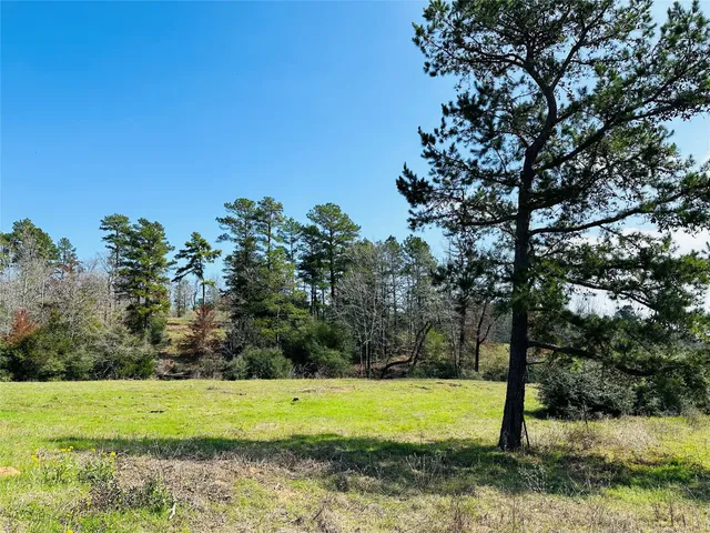 a view of a green field with trees in the background