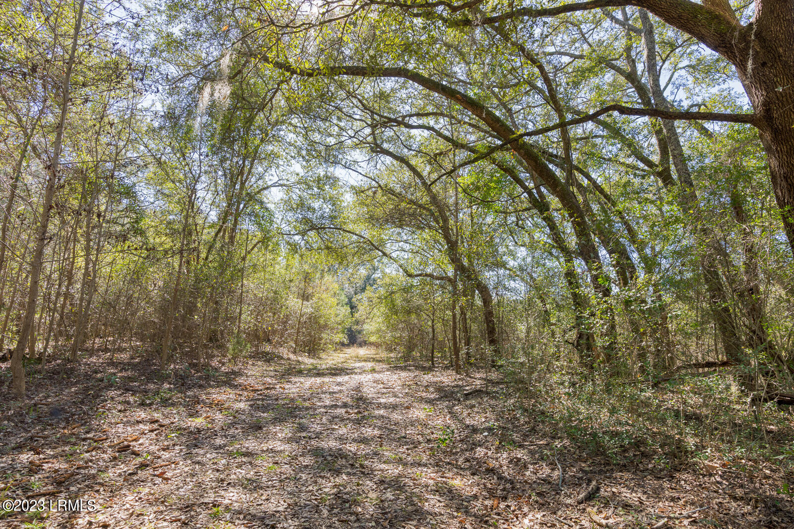 Tbd Terry Road Yemassee, SC 29945 - Photo 1 of 11 Main--Seven