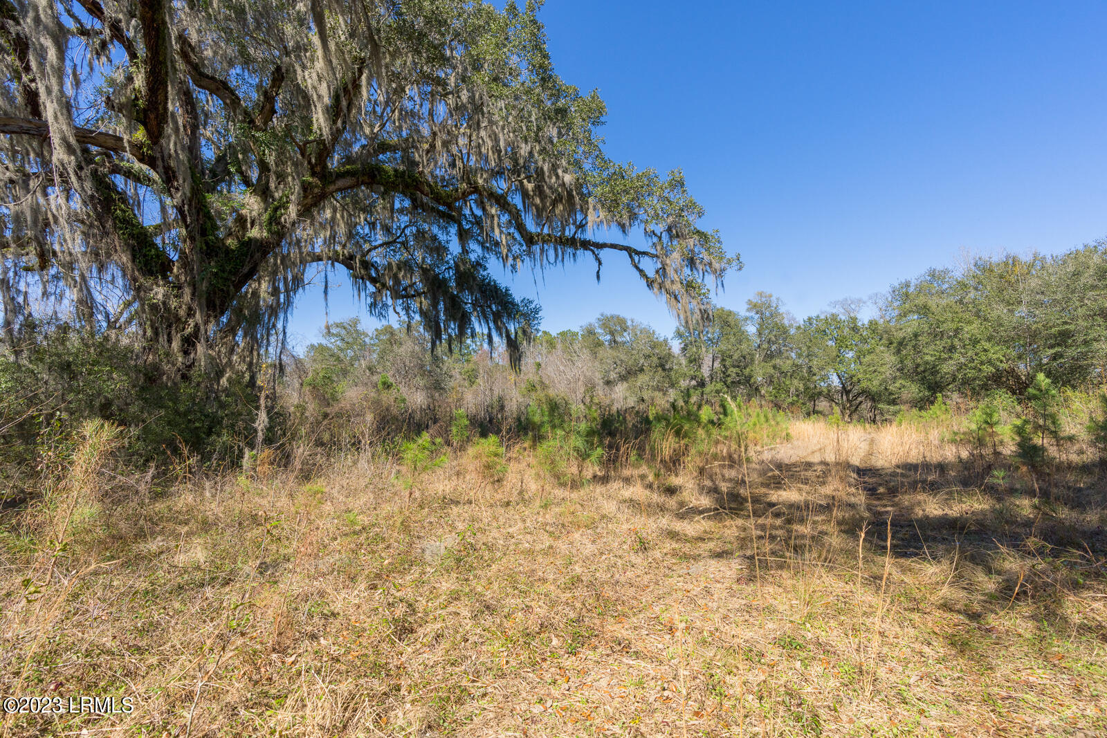 Tbd Terry Road Yemassee, SC 29945 - Photo 2 of 11 Eight