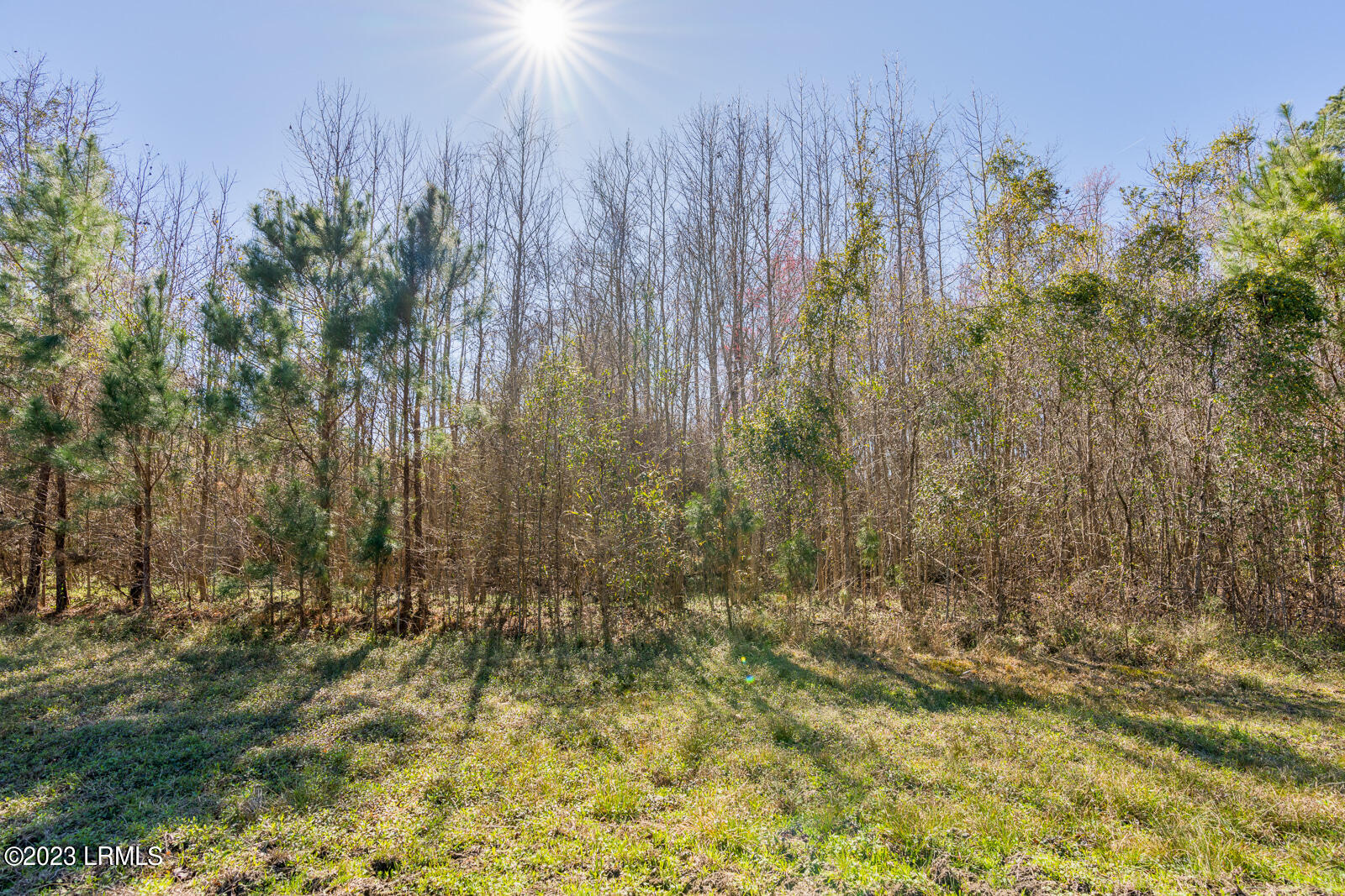 Tbd Terry Road Yemassee, SC 29945 - Photo 4 of 11 Five