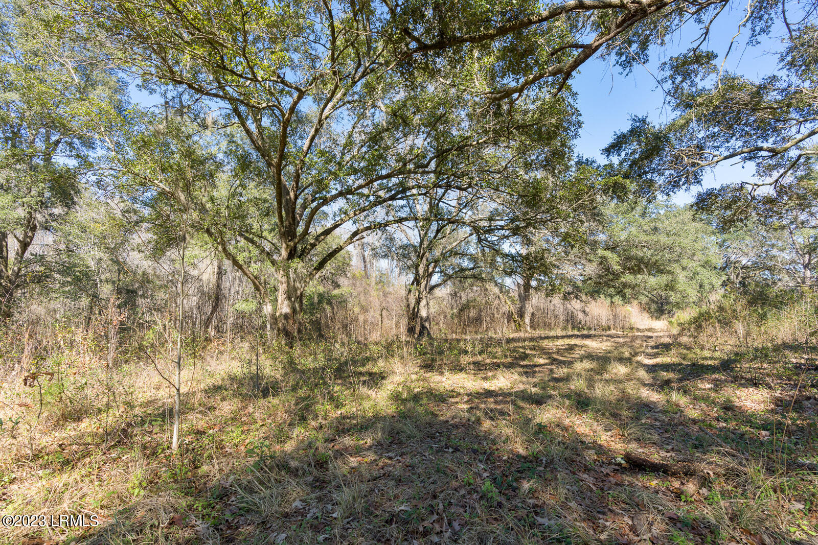 Tbd Terry Road Yemassee, SC 29945 - Photo 6 of 11 Nine